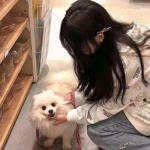 7733游戏问鼎天下下载